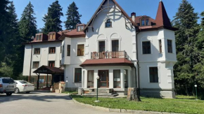 Гостиница Villa Ibar  Бороветц